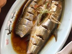 -老马家·舌尖上的西塘美食