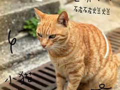 -大澳渔村及棚屋