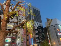-秋叶原电器街