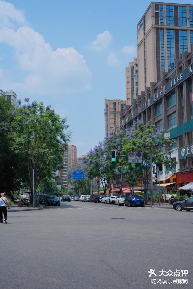 成都专属的蓝花楹街头十字路口的故事