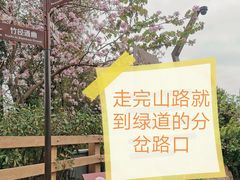 -阳台山森林公园