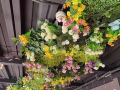 -食悦江南·淮扬菜·烤鸭(亚运村·惠新店)