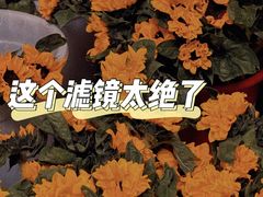 -循礼门鲜花花市(武汉循礼门店)