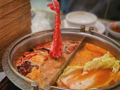 -一绪に寿喜烧(荟聚店)