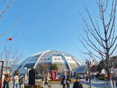 -丁老爷子苏香圆