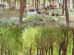 -东坝千亩湖公园