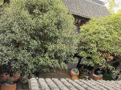 -我嘉书房(南翔名士居店)