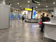 -谢列梅捷沃国际机场