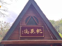 -神光山国家森林公园