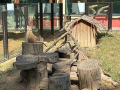 -大连森林动物园