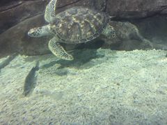 -福州罗源湾海洋世界旅游区