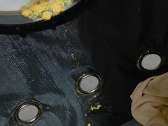 -瑞鹏宠物医院·宠保定点·心脏科·内科(御桥分院)
