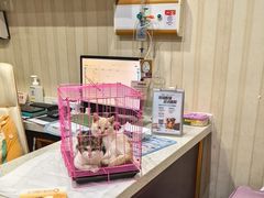 -宠爱国际动物医院·疑难骨科·心肾内科·皮肤科(太阳宫店)