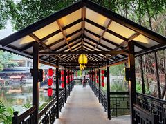 -侨美·唐荔园·40年地道粤菜