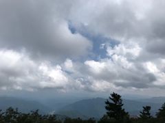-牛背梁国家森林公园