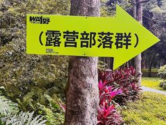 -南宁良凤江国家森林公园