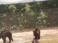 -五龙山野生动物王国