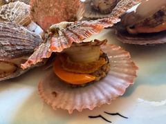 -宾朋海鲜特色美食餐厅·纯手工鲅鱼水饺(兴海路店)