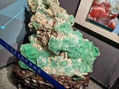 -湖南省地质博物馆