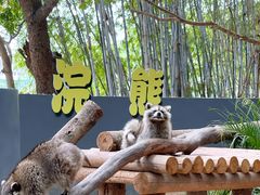 -深圳野生动物园