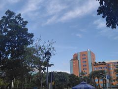 -映月湖公园