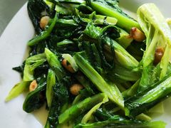 清炒油脉菜-辉记虾塘海鲜农庄