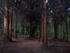 -武陵山森林公园