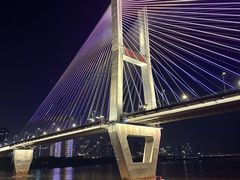-武汉知音号