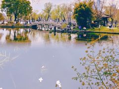 -莫愁湖公园