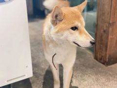 -三目仓咖啡(贤南路店)
