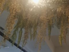 -江小渔鲜鱼火锅(西二道街店)