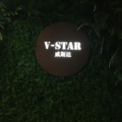 点击看大图 -V-STAR威斯达•高级私人定制