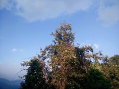 -腾冲云峰山
