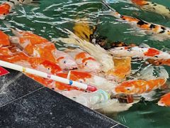 -柳州市动物园