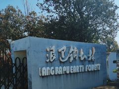 -元谋浪巴铺土林景区