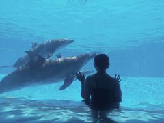 -横琴湾水世界
