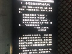 -816工程景区