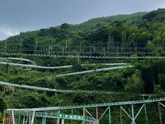 -长沙黑麋峰国家森林公园