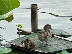 -北山街历史文化街区