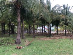 -白沙门生态公园