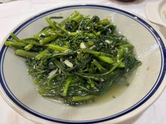 蒜蓉空心菜-新新湘菜馆(新中街二条店)