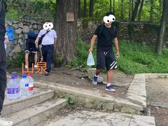 -阳台山自然风景区