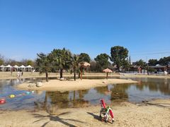-鹅湖玫瑰文化园