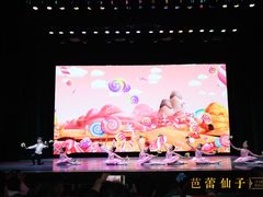 -芭蕾仙子 FairyBallet 少儿芭蕾舞蹈中心(丽都旗舰店)