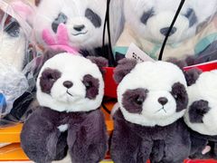 -无锡动物园·太湖欢乐园