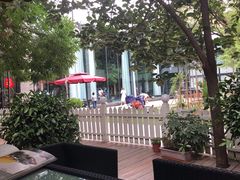 -唐廊烤鸭店(工体店)