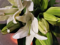 -循礼门鲜花花市(武汉循礼门店)