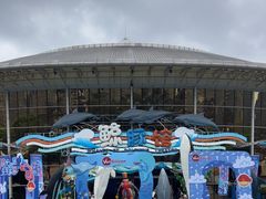-海合安成都极地海洋公园