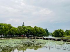 -鲁镇