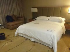 19层普通大床房-成都天府丽都喜来登饭店